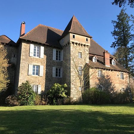 Chateau De Grand Bonnefont Limoges Exterior foto