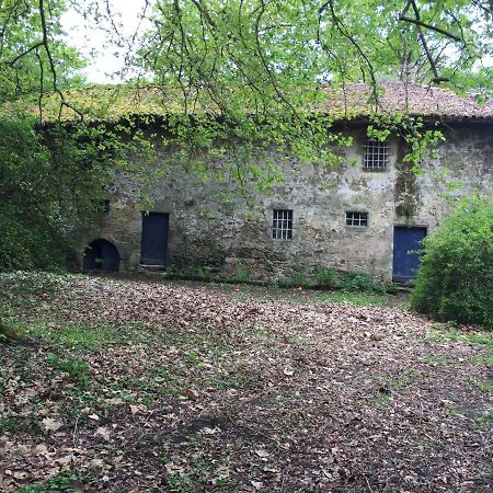 Chateau De Grand Bonnefont Limoges Exterior foto